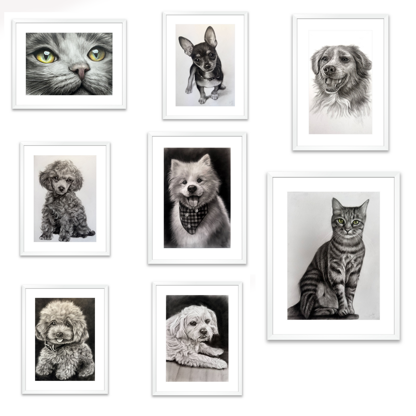 Single Pet - A4 Framed