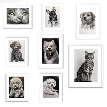Single Pet - A4 Framed