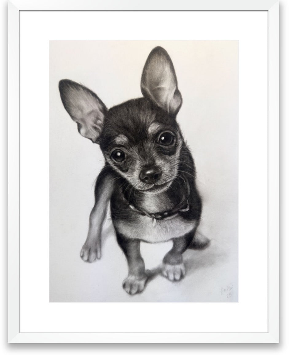 Single Pet - A4 Framed
