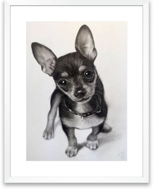 Single Pet - A4 Framed